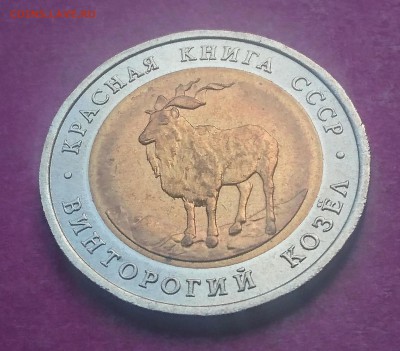 5 РУБЛЕЙ 1991 ВИНТОРОГИЙ КОЗЁЛ до 6.12.17 _22:10 МСК - DSC_1911.JPG
