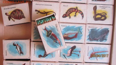 Кто собирает спичечные коробки??? - IMG_3898.JPG
