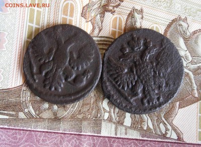 Полушка 1736,1751гг до 7.12.17г 23.00 МСК - 2