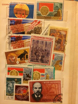Просьба дать оценку - IMG_0528.JPG