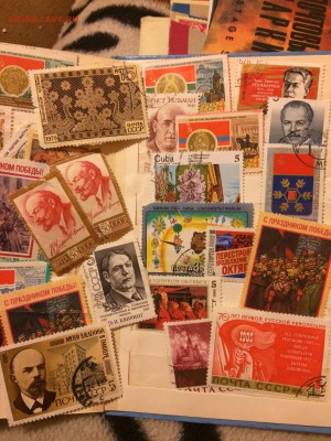 Просьба дать оценку - IMG_0529.JPG