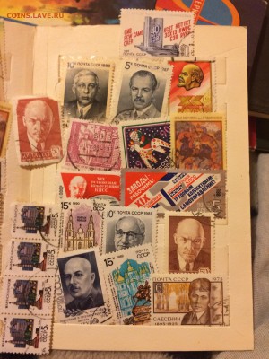 Просьба дать оценку - IMG_0531.JPG