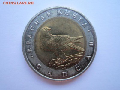 КК САПСАН 50 руб 1994. до 10.12.2017 в 22:30 - IMG_7594.JPG