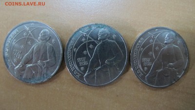 Цио - IMG_7679.JPG