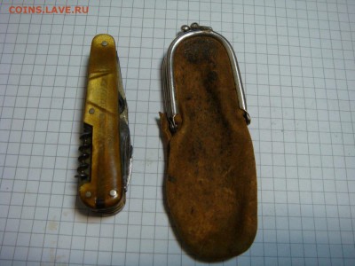 Сабелька - DSC08078.JPG