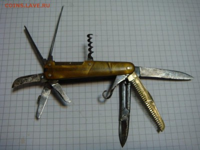 Сабелька - DSC08068.JPG