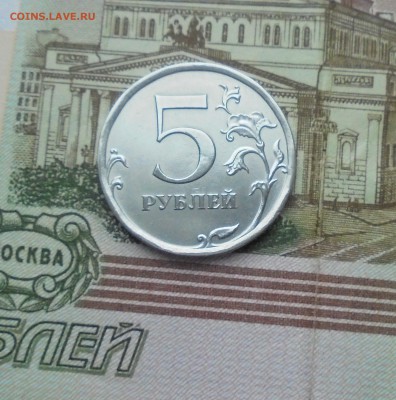 5 рублей 2010 год (СПМД) На оценку - DSC06743.JPG