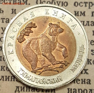 50 р. 1993.Гималайский медведь. С 200. До 10.12.2017 в 22.00 - 20171205_191114