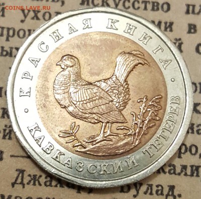 К.К.50 р. 1993. Тетерев. С 200 р. До 10.12.2017 в 22.09 - 20171205_191250
