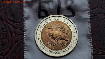 N13. Казарка раскол не большой. До 12.12 - IMG_20171107_190501_31