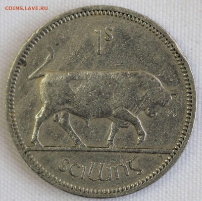 С 1 РУБ. ИРЛАНДИЯ шиллинг  1962г. БЫК   до 13.12 в 22-00 - IMG_0012