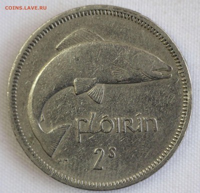 С 1 РУБ. ИРЛАНДИЯ 2 шиллинга  1966г. ЛОСОСЬ  до 13.12 в 22-0 - IMG_0014