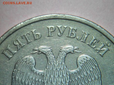 Разновидность- Набор в копилку познаний. - DSCN6899.JPG