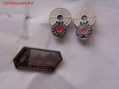 Солянка  7 шт   № 2 до 12.12  в 21-30 мск - DSC08262.JPG