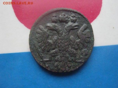 Полушка 1735г. В альбом. До 14.12.2017г. - 006.JPG