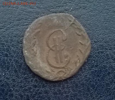 денга сибирская 1772 км (короткий) ДО 09.12.17 22ч. мск - денга 1772 а