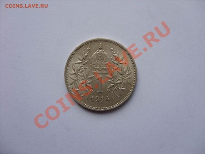 1 крона. Австрия. 1914. Серебро. Отличный сохран. - 1 крона Австрия 1914 - 7.JPG
