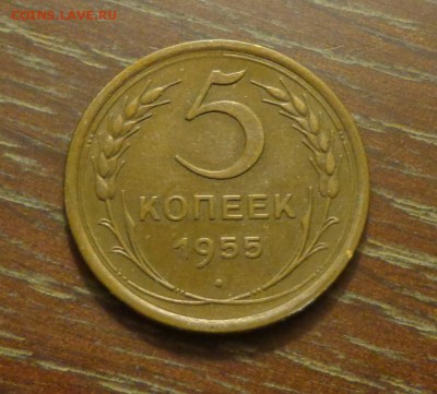 5 копеек 1955 до 15.12, 22.00 - 5 коп 1955_1