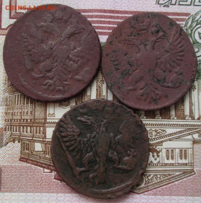 Денга 1748,1749,1750 года до 22-00 14.12.17 года - IMG_4163.JPG