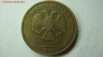 Вопросы по разновиднстям от сахарок - DSC02346.JPG