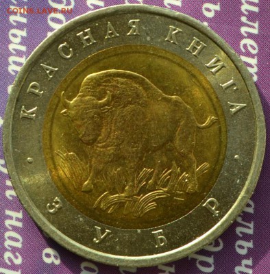 КК 1994 Зубр  до 15.12 в 22:30 - зубр 3а