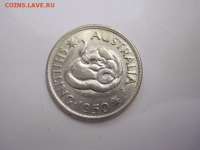 1 шиллинг Австралия 1950  до 15.12.17 - IMG_8021.JPG