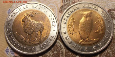 Красная Книга 1991, 2 шт, до 15.12.2017 в 22-00 Мск №1 - P1010144.JPG