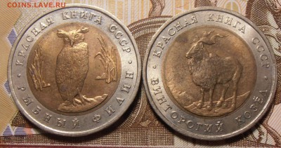 Красная Книга 1991, 2 шт. до 15.12.2017 в 22-00 Мск №3 - P1010148.JPG