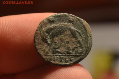 Рим.Капитолийская Волчица кормящая Ромула и Рема. - CSC_0110.JPG