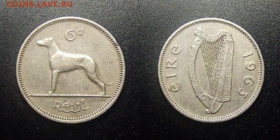МОНЕТЫ МИРА 12-17 - Ирландия - 6 пенсов (1963) «Ирландский волкодав»