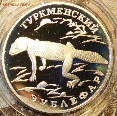 1 руб 1996г Туркменский зублефар 19.12.17 в 22-00 - DSC03147.JPG