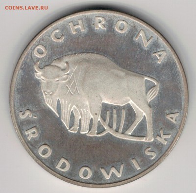 Ag Польша 100 злотых 1977 Зубр до 18.12 в 22.00мск (Е507) - 5-п100з77