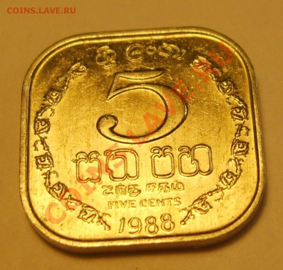 5 центов цейлон 1988 до 24.03 в 21.30 - S8302469.JPG