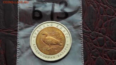 Казарка малый раскол. До 19.12.  N13 - IMG_20171213_214110_28