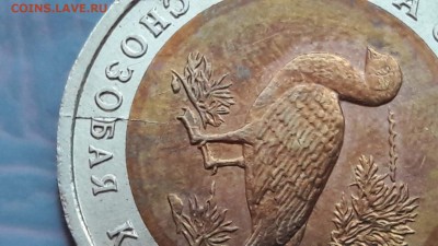 Казарка малый раскол. До 19.12.  N13 - IMG_20171213_214111_29