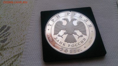 3Р 2011 Сохраним наш мир Переднеазиатский Леопард до 21.12 - DSC_1548.JPG