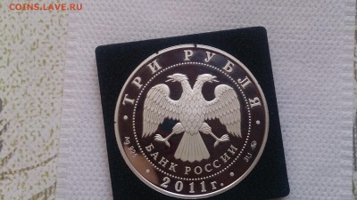 3Р 2011 Сохраним наш мир Переднеазиатский Леопард до 21.12 - DSC_1545.JPG
