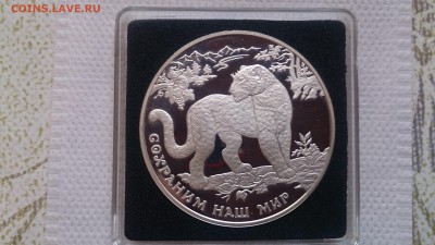 3Р 2011 Сохраним наш мир Переднеазиатский Леопард до 21.12 - DSC_1539.JPG