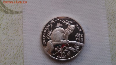 3 Руб 1994 Сохраним наш мир Соболь до 21.12. 22.10 - DSC_1517.JPG