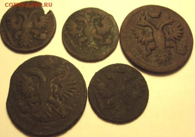 Денга 1731,36 гг.,полушка1735г. 3 шт. - DSC01338.JPG