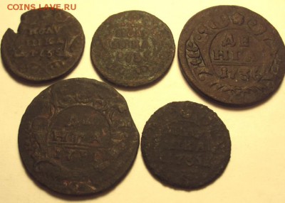 Денга 1731,36 гг.,полушка1735г. 3 шт. - DSC01339.JPG