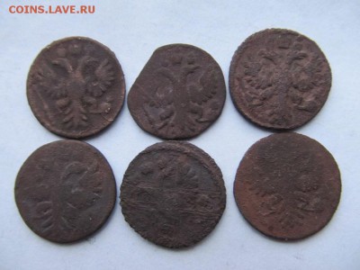 Полушка с 1731-1736гг-7шт до 17.12.17г в 22.00 час по МСК - IMG_0154.JPG