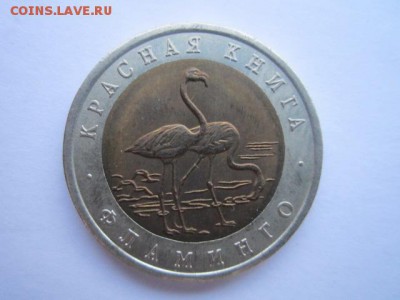 КК ФЛАМИНГО 50 руб 1994. до 19.12.2017 в 22:30 - IMG_7891.JPG