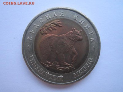 КК МЕДВЕДЬ 50 руб 1993. до 19.12.2017 в 22:30 - IMG_7881.JPG