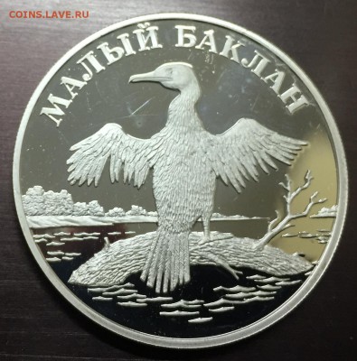 1 рубль 2003 Малый Баклан с 200 руб до 21.12.17 - IMG_3324-15-12-17-10-58.JPG