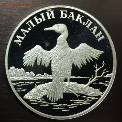 1 рубль 2003 Малый Баклан с 200 руб до 21.12.17 - IMG_3325-15-12-17-10-58.JPG