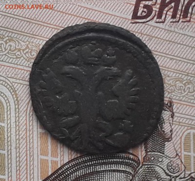 Полушка 1731 до 19-12-2017 до 22-00 по Москве - 2 А