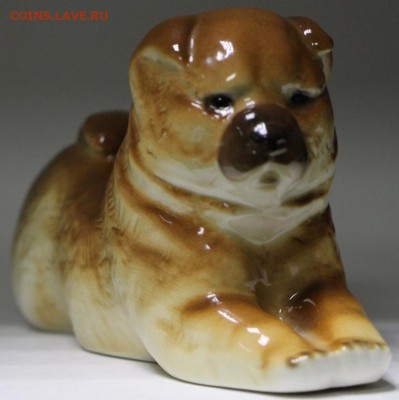 Собачка. ЛФЗ.   20,12,17 в 22,00 - новое фото 025