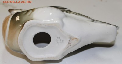 Краснозобая казарка. ЛФЗ.         20,12,17 в 22,00 - новое фото 045