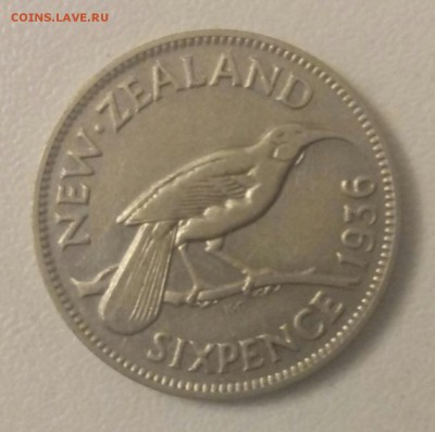 Новая Зеландия 6 пенсов 1936 до 19.12 - P71217-152140(1)